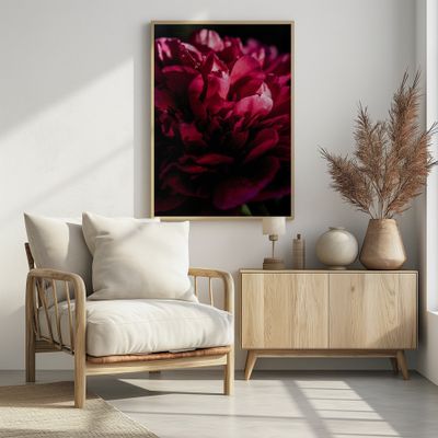 Dramatic Red Peony