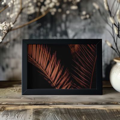 Elegant Night Palm
