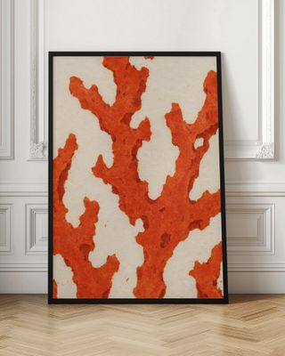 Coral Dreams