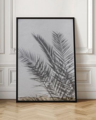 Sunny Palm Shadows