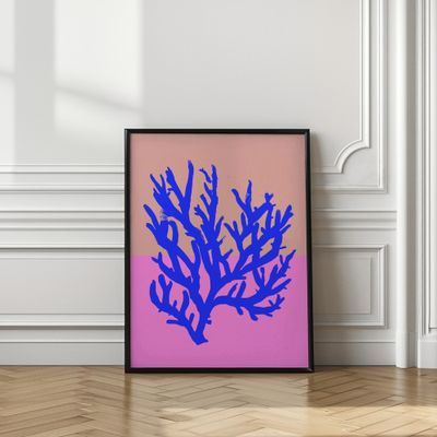 Coral Vibrance