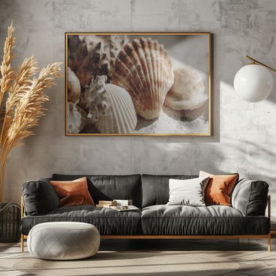 Sunlit Seashells