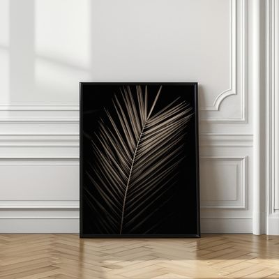 Elegant Sepia Palm