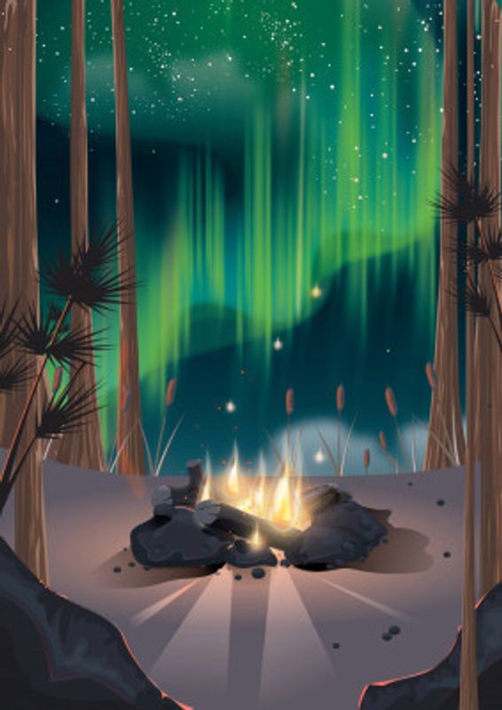 Camping Under The Stars