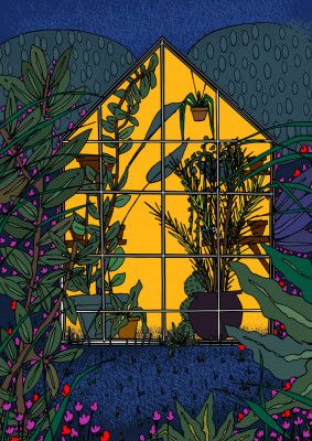 Greenhouse At Night