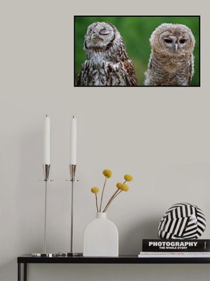 I'll never talk to you again