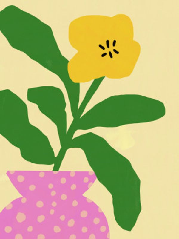 Yellow Flower With Green Leaves In A Pink Vase