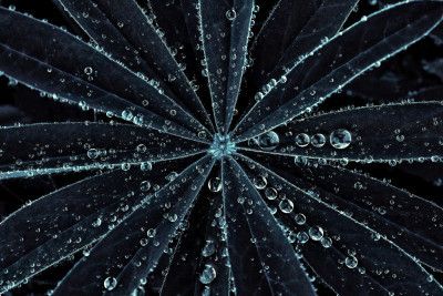 Portal to the Cosmos