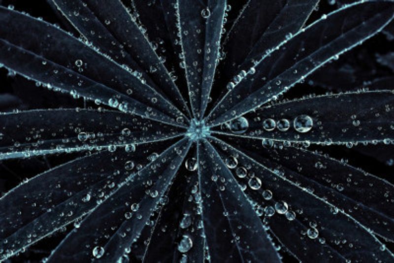 Portal to the Cosmos