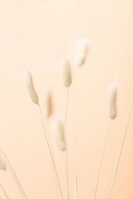Bunny Grass Peach 06