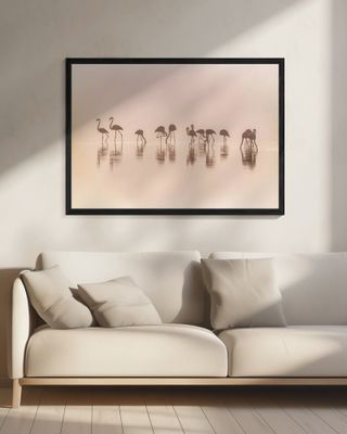 Flamingos in the mist