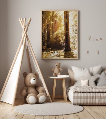 Redwood Forest Sunbeams