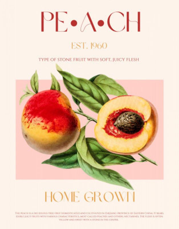 Vintage Style Peach Illustration