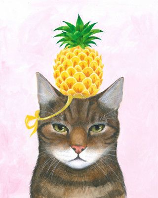 Pineapple Hat on the Cat