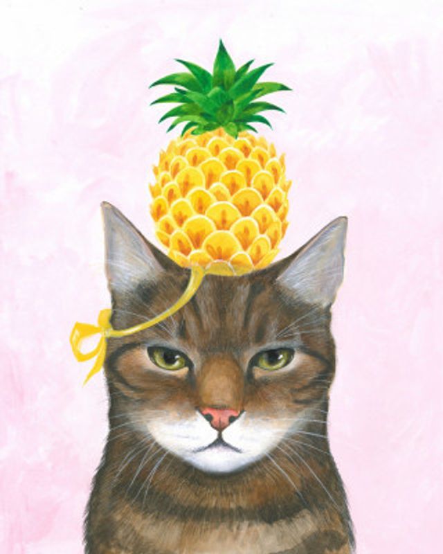 Pineapple Hat on the Cat