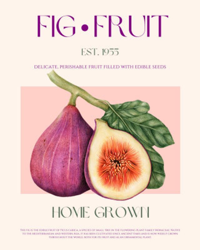 Vintage Fig Delight