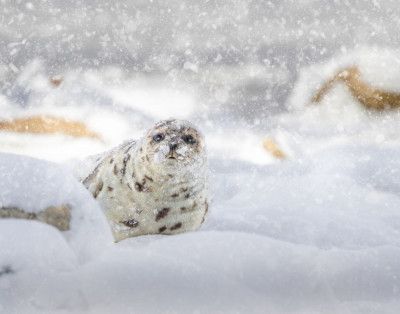 Storm day at the beach