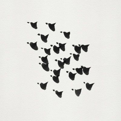 Birds In Flight   Upwards