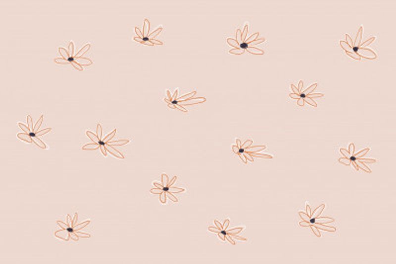 Minimalist Daisy Patterns