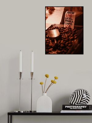 Fresh Live Local Manila Clams