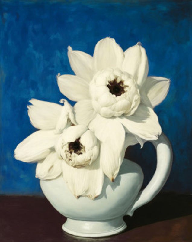 White Petal Symphony