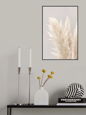 Pampas Grass Grey 03