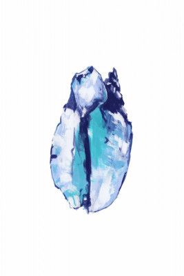 Blue Seashell On White Background No5
