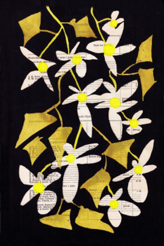 Mid century modern hanging plant