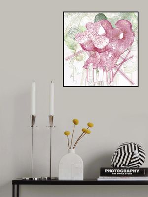 Tectumque 2.0 series