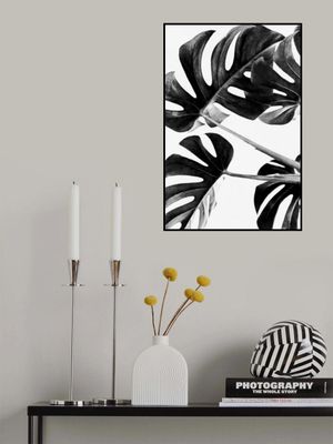 Monstera Black and White 05