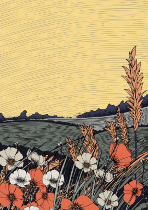 Beautiful Japanese Landscape