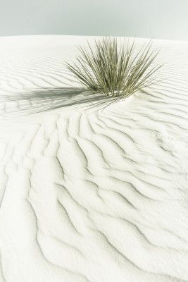 WHITE SANDS Idyllic vintage scenery