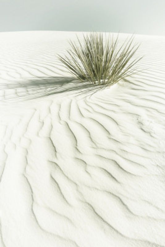 WHITE SANDS Idyllic vintage scenery