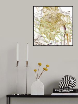 Tectumque 2.0 series