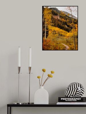 Conundrum Creek Trail II