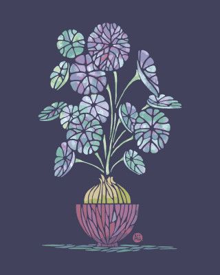 Stephania Erecta (navy)