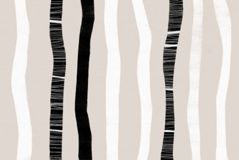 vertical Black And White Stripes