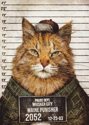 Cat In A Police Lineup