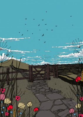 Stone Path Wildflowers