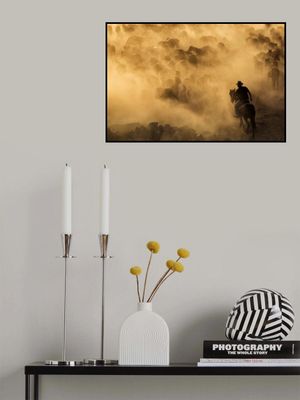 Cappadocia wild horses