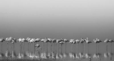 Comrades at cleaning time