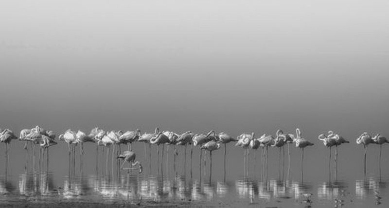 Comrades at cleaning time