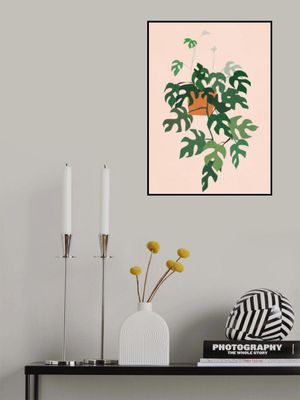 Plant with Delicate Leaves