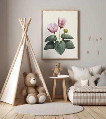 Ranunculus Cabrerensis