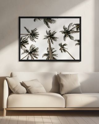 “Palm Skyview”