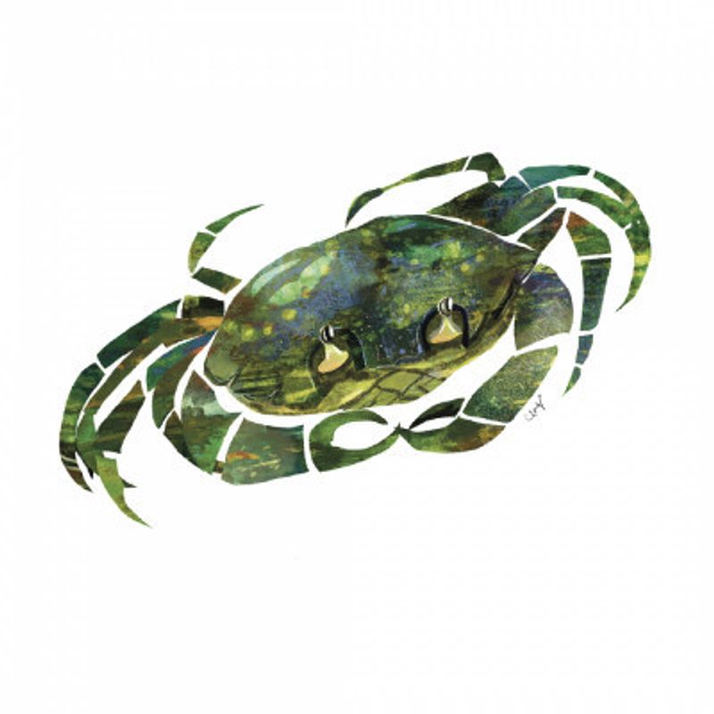 Green Crab