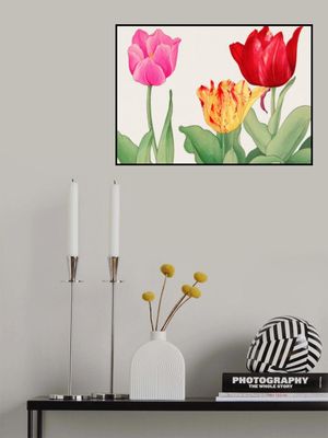 Tulips No.2