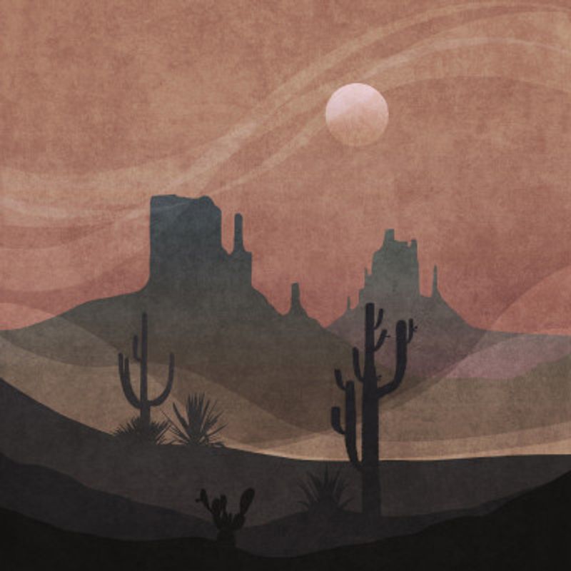 Desert Twilight