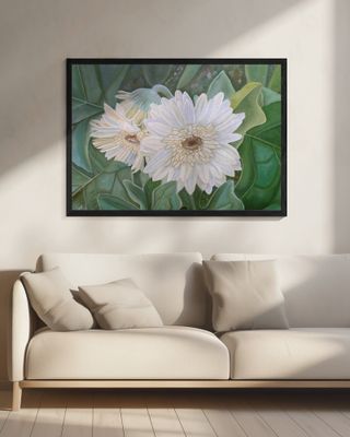 White Gerbera