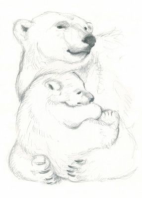 Polar Bear and Cub Drawing